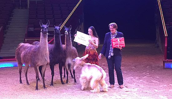 Circus Krone 2017: kuschlinge Lamas und Windhunde übergaben 12.000 Freikarten an die 3.Bürgermeisterin Christine Strobl